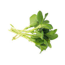 Load image into Gallery viewer, Fava Bean (75g)