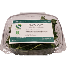 Load image into Gallery viewer, Fava Bean (75g)