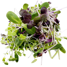 Load image into Gallery viewer, Micro Mix (75g)