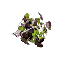 Load image into Gallery viewer, Radish Mix (75g)