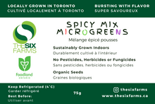 Load image into Gallery viewer, Spicy Mix (75g)