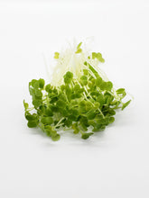 Load image into Gallery viewer, Spicy Mix (75g)