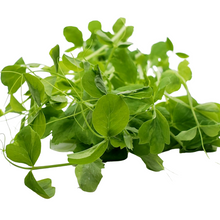 Load image into Gallery viewer, Pea Shoots (75g)
