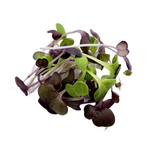 Load image into Gallery viewer, Radish Mix (75g)