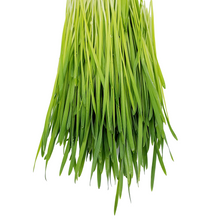 Load image into Gallery viewer, Wheatgrass (50g)
