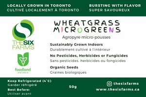 Wheatgrass (50g)
